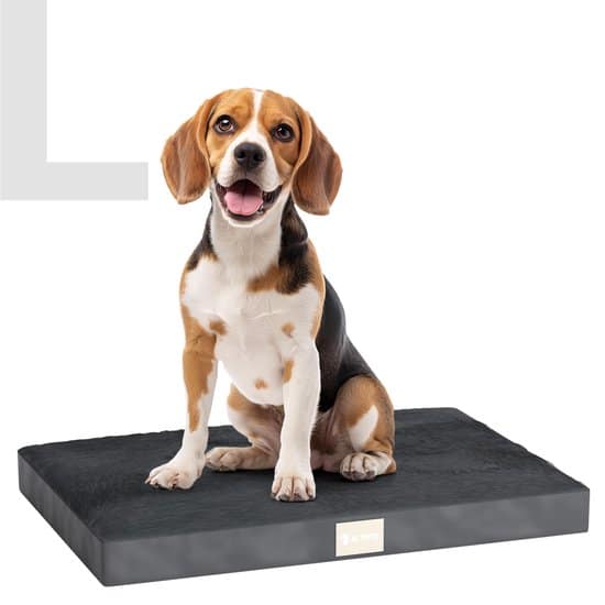 Beste-Machine-Wasbare-Benchkussen