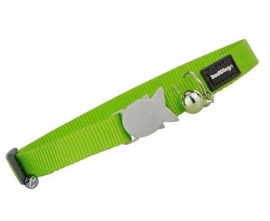 Beste-Goedkope-Halsband-Kat