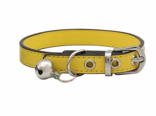 Beste-Leren-Halsband-Kat