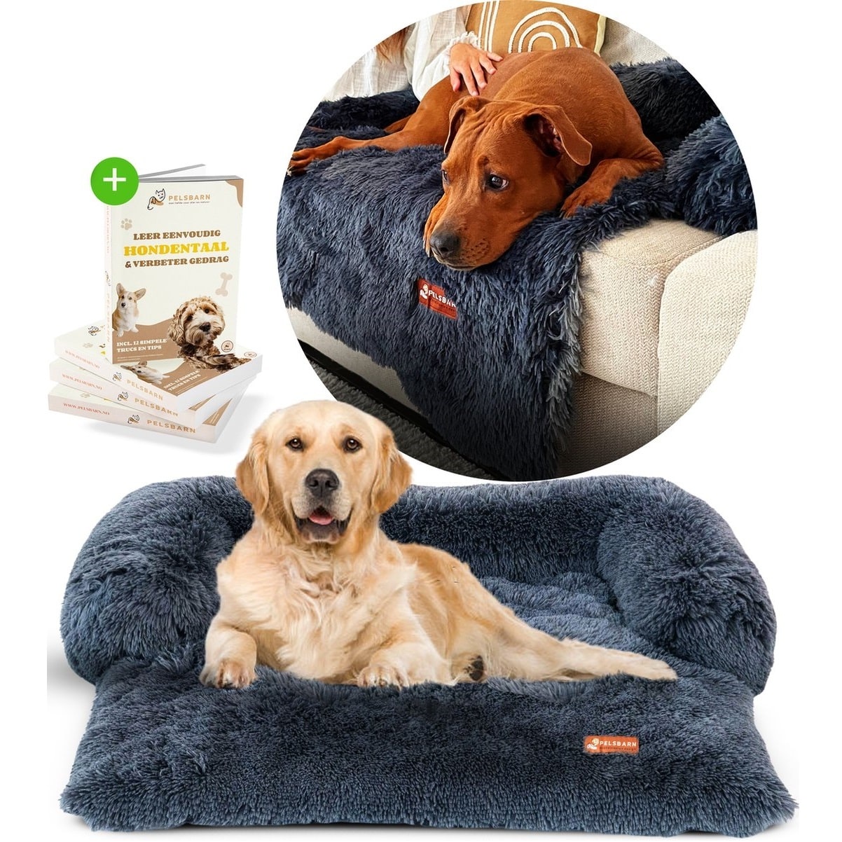 Beste mand voor op de bank