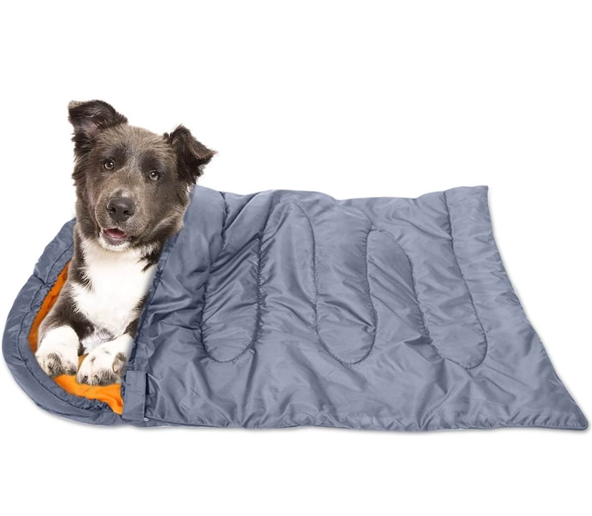 Beste grote slaapzak voor je hond