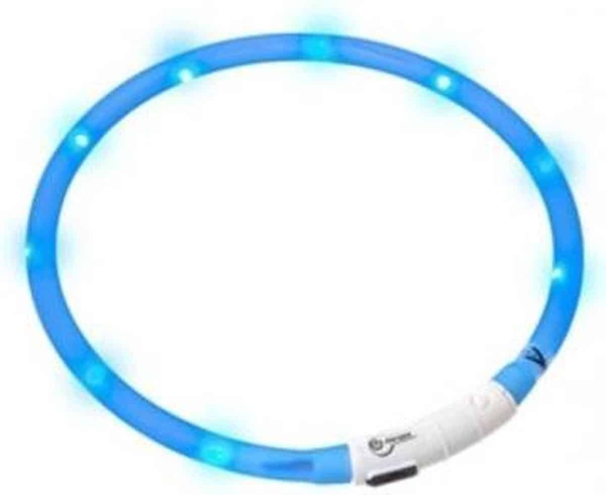 Beste lichtgevende hondenhalsband