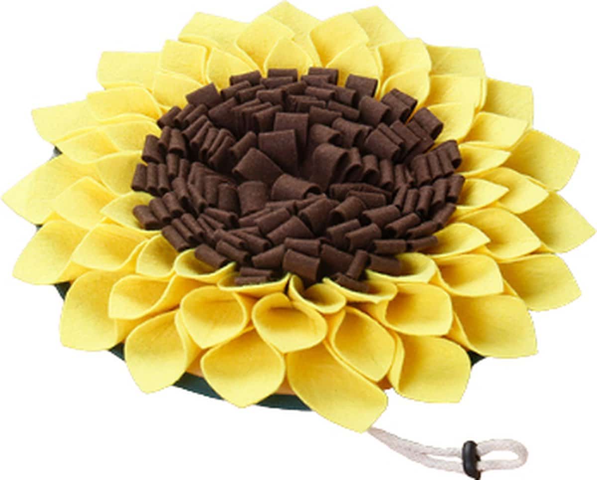 Beste snuffelmat voor honden