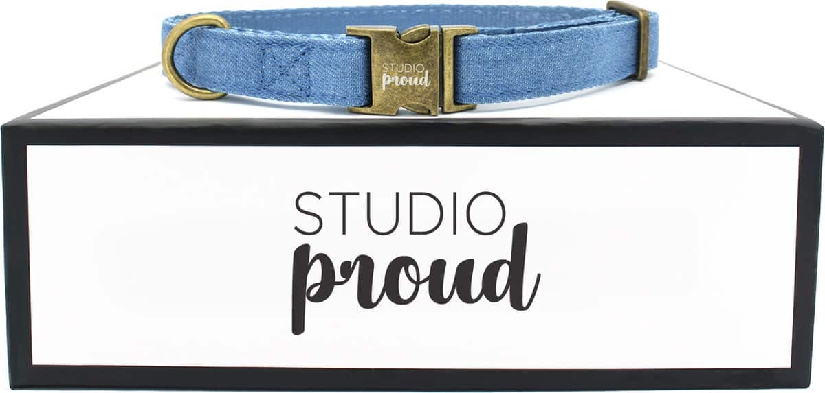 Meest stijlvolle halsband voor honden