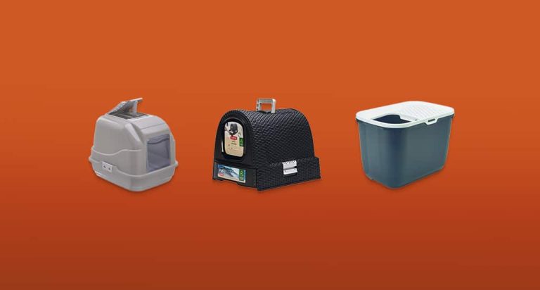 De 7 Beste Kattenbakken van 2026