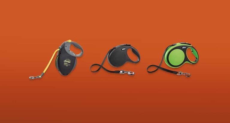 De 7 Beste Flexi Hondenriemen van 2026