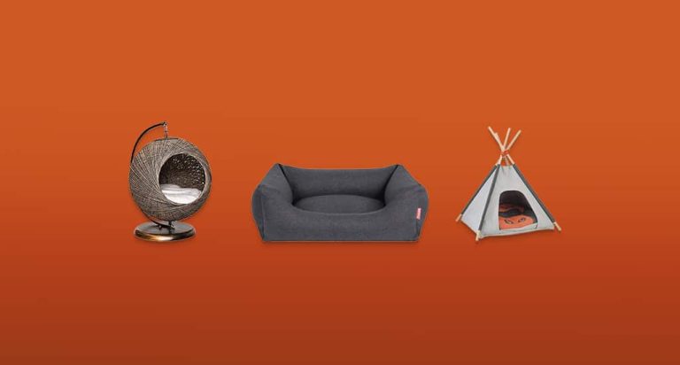 De 8 Beste Kattenmanden van 2026