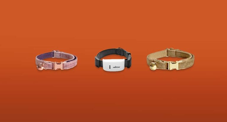 De 7 Beste Kattenbandjes van 2026