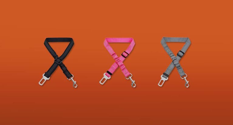 De 6 Beste Hondenriemen Voor In De Auto van 2026