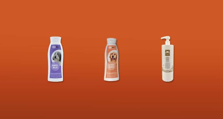 De 7 Beste Hondenshampoos van 2026