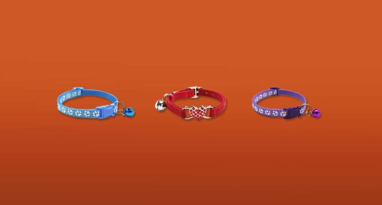 De 7 Beste Kattenhalsbandjes van 2026
