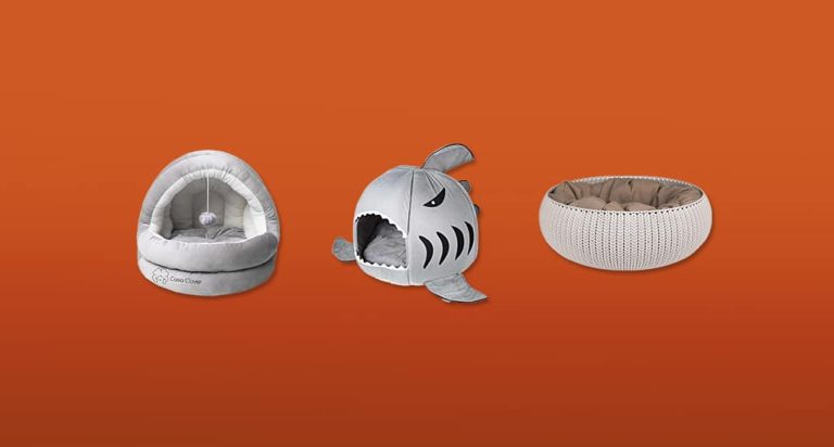 De 5 Beste Kattenmanden van 2026