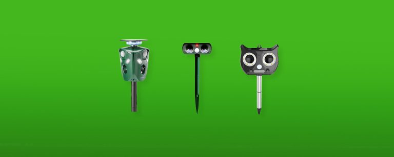 De 4 Beste Kattenverjagers van 2026