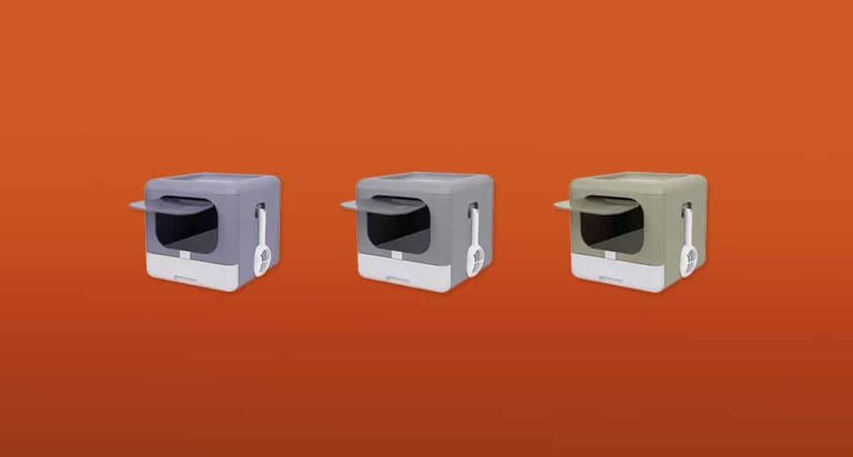 De 7 Beste Kitten Kattenbakken van 2026