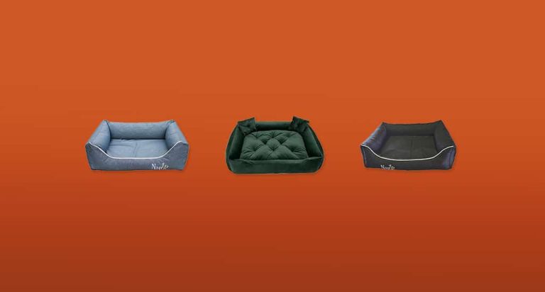 De 10 Beste Kunststof Hondenmanden van 2026