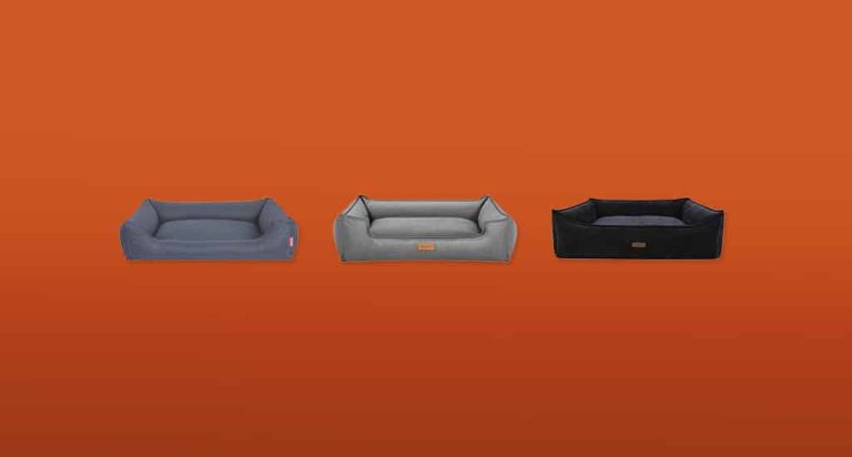 De 7 Beste Luxe Hondenmanden van 2026