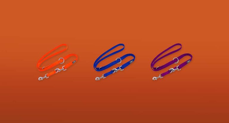 De 7 Beste Puppyriems van 2026