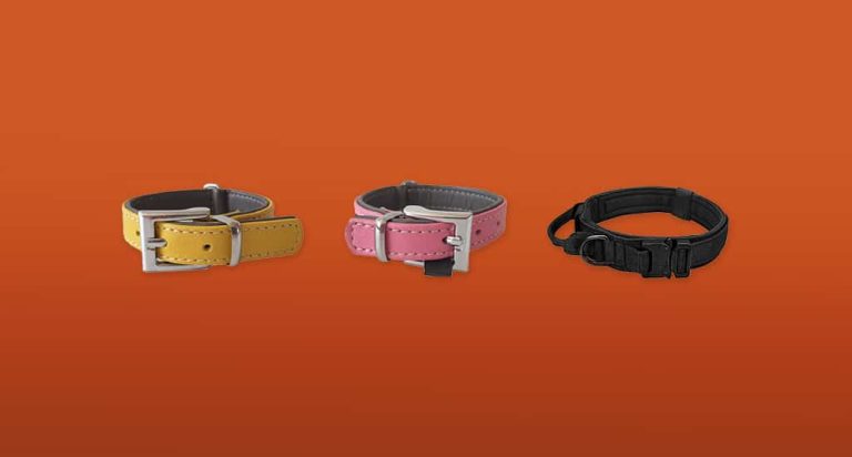 De 7 Beste Slipkettingen Voor Jouw Hond van 2026