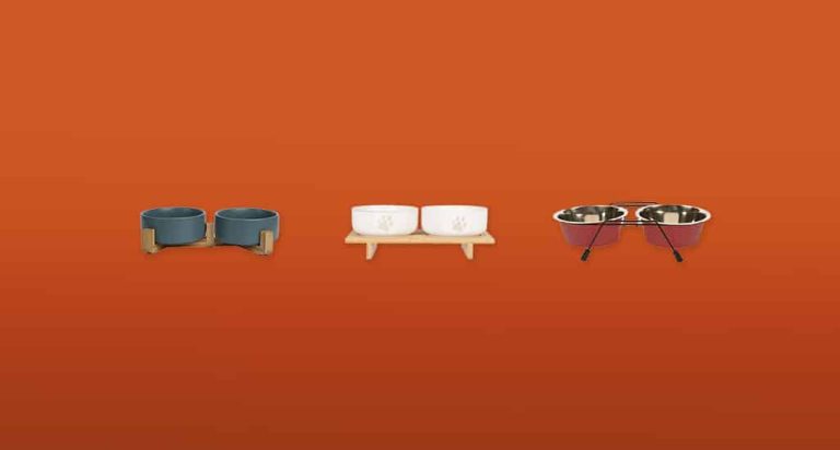 De 7 Beste Voerbakken van 2026