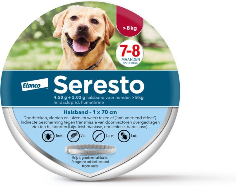 De 5 Beste Anti-Vlooienbanden voor Honden