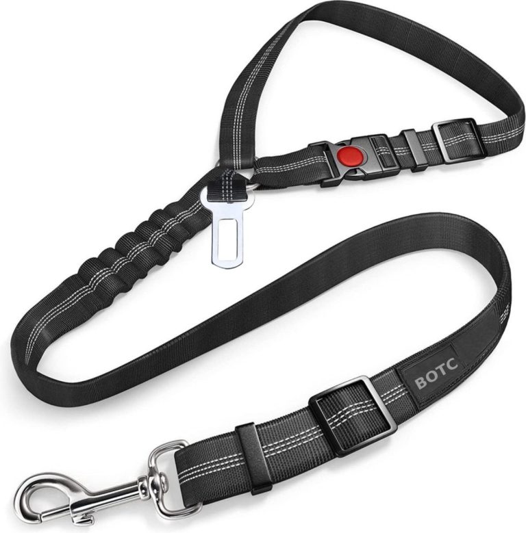 De 7 Beste Autogordels Voor Honden