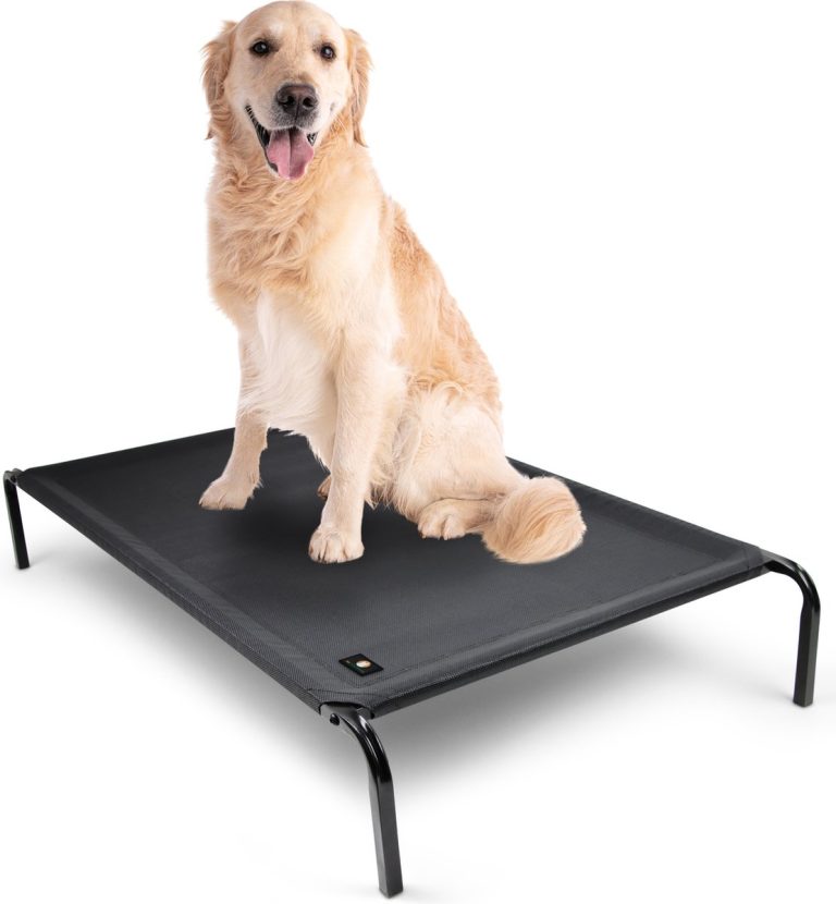 De 7 Beste Hondenstretchers