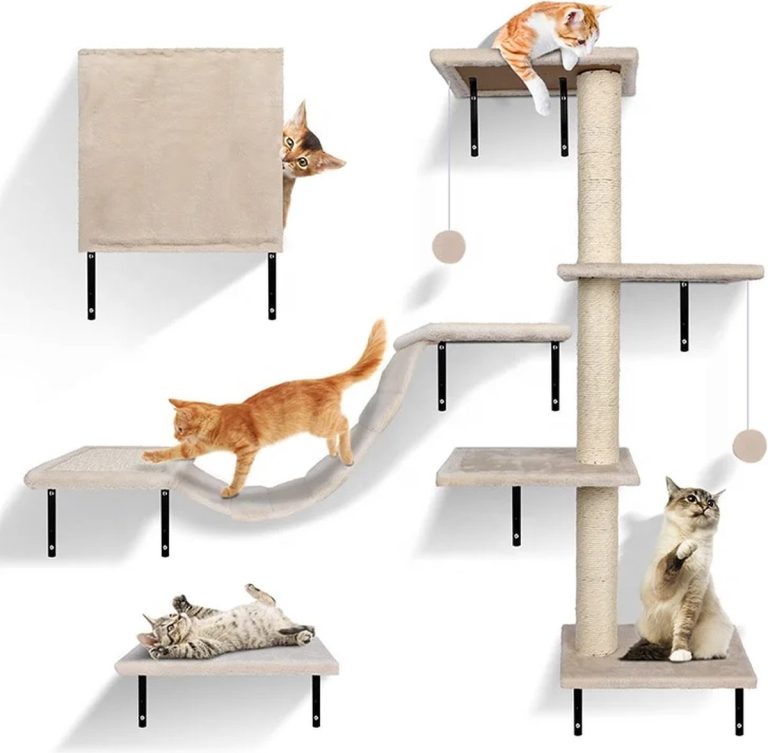 De 7 Beste Katten Klimmuren