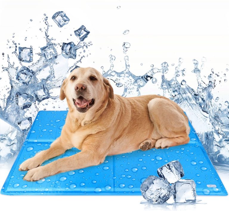 De 6 Beste Koelmatten voor Honden