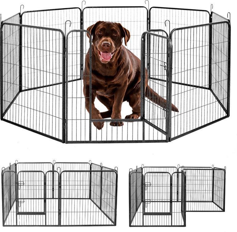 De 7 Beste Puppyrennen