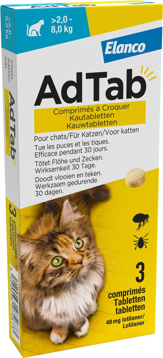 De 7 Beste Vlooiendruppels voor Katten