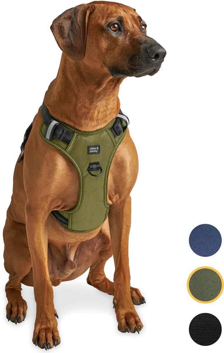De 7 Beste Y-Tuigen Voor Honden
